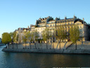 Arbres sur l'île Saint-Louis