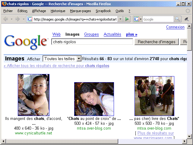 Capture d'écran Google